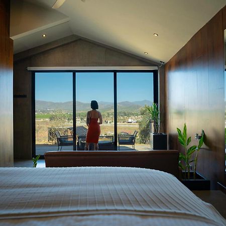 Bajo Estrellas Hotel Contemporaneo 장크트 고아르스하우젠 외부 사진