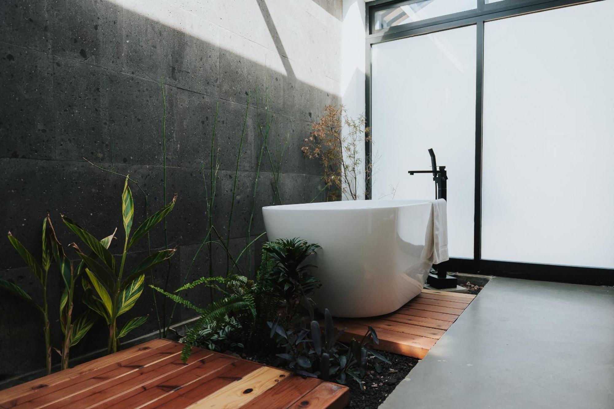 Bajo Estrellas Hotel Contemporaneo 장크트 고아르스하우젠 외부 사진